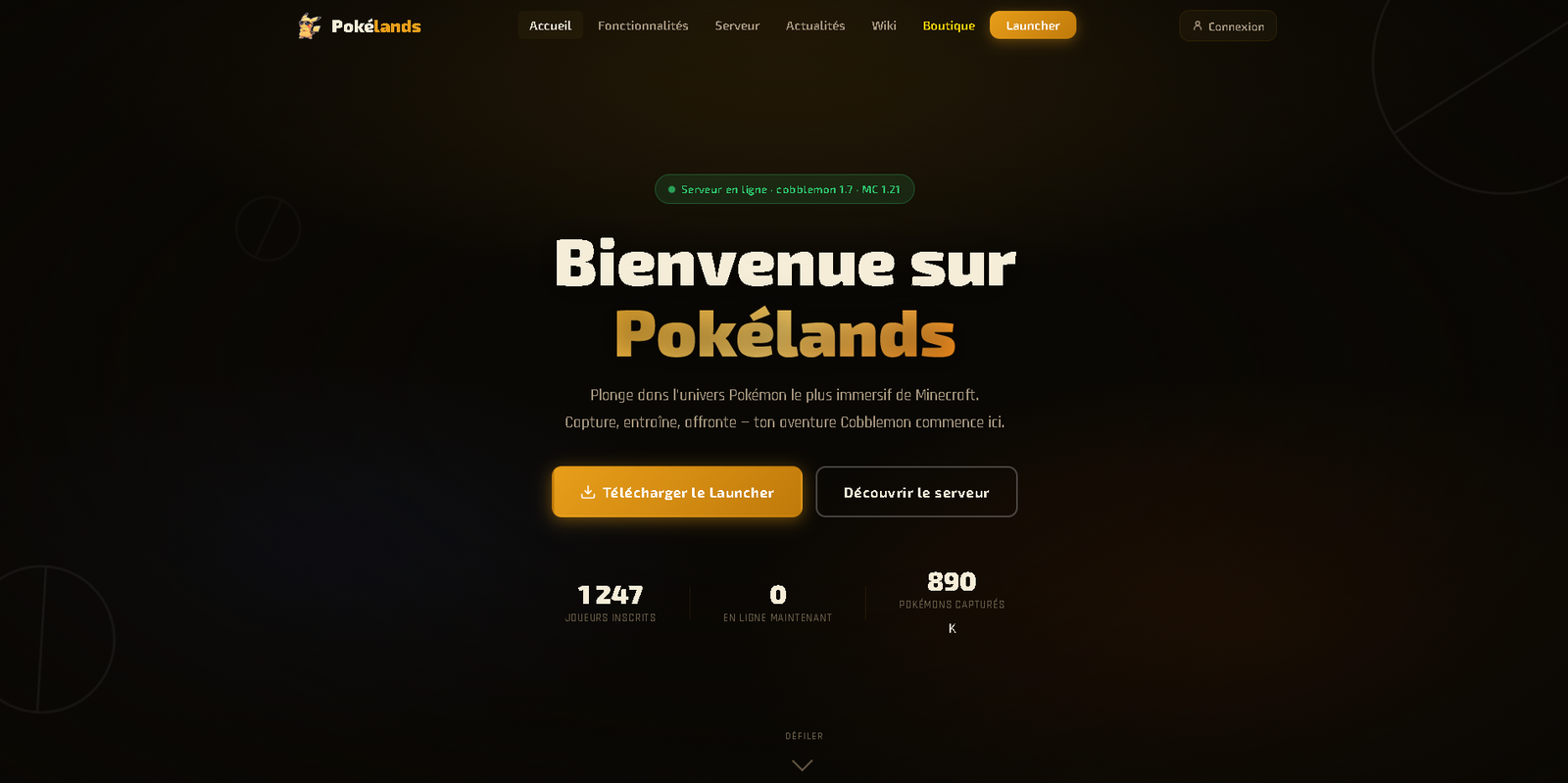 Capture du site Pokelands